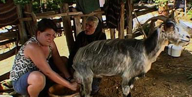 �������� � ��������